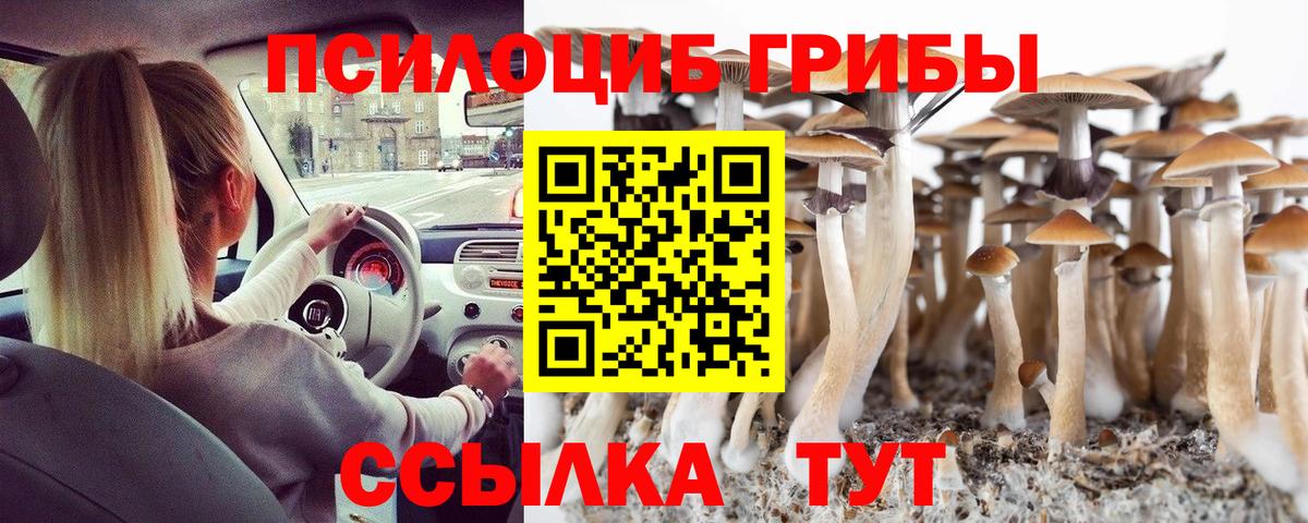 Севастополь  где можно купить наркотик  Вход с VPN  Псилоцибиновые грибы мицелий 